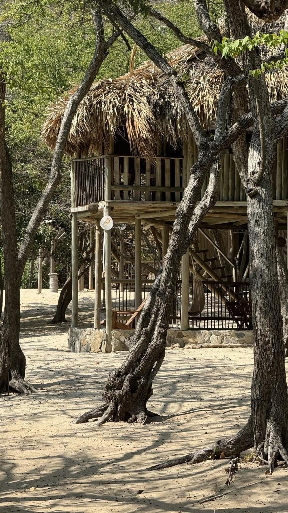 Lodge Wachakyta